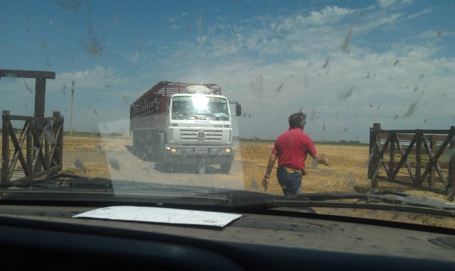 Argentina's heartland still motoring growth