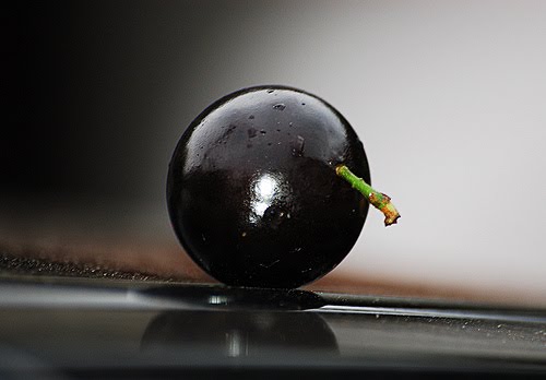 A fruitful discussion