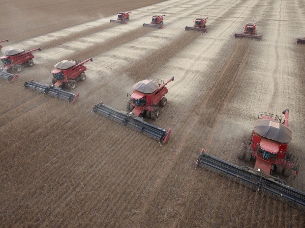 Brazil capitalized on the commodity boom. What happens if commodity prices unwind?