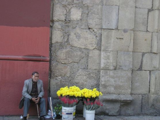 Flower vender, Santiago de Chile