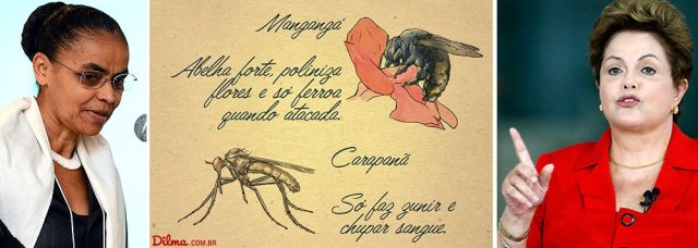 Dilma's response to being called a bumblebee.